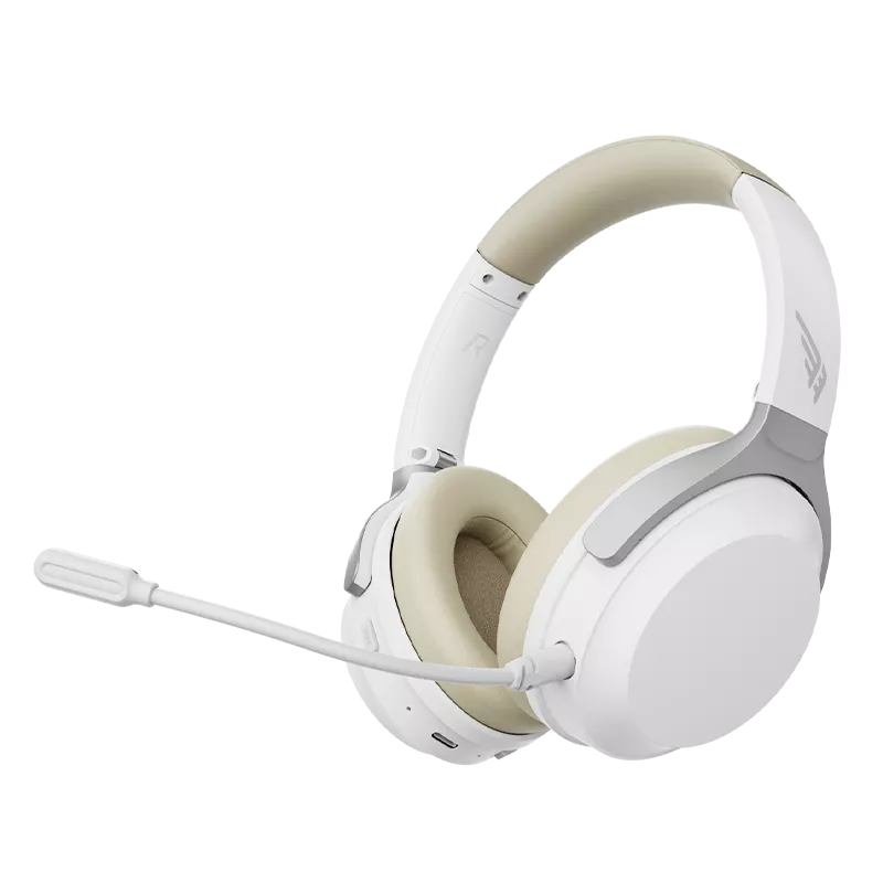 DM01 MAX